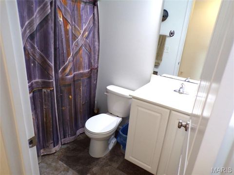 Tiny photo for 108 Linder Lane, Winfield, MO 63389 (MLS # 25061313)