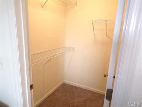 Tiny photo for 108 Linder Lane, Winfield, MO 63389 (MLS # 25061313)