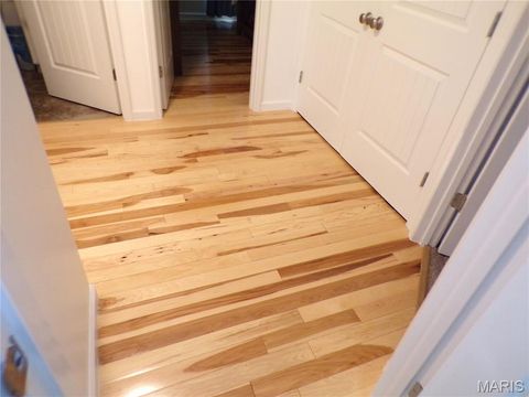 Tiny photo for 108 Linder Lane, Winfield, MO 63389 (MLS # 25061313)
