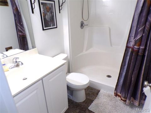 Tiny photo for 108 Linder Lane, Winfield, MO 63389 (MLS # 25061313)