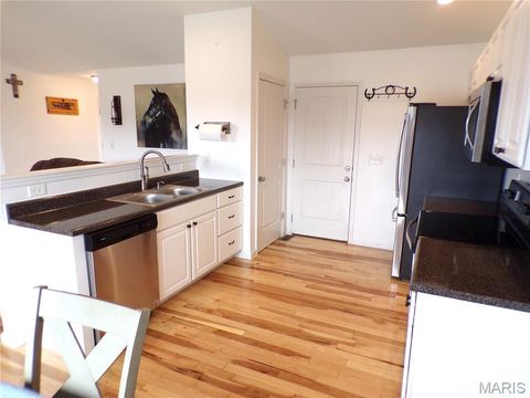 Tiny photo for 108 Linder Lane, Winfield, MO 63389 (MLS # 25061313)