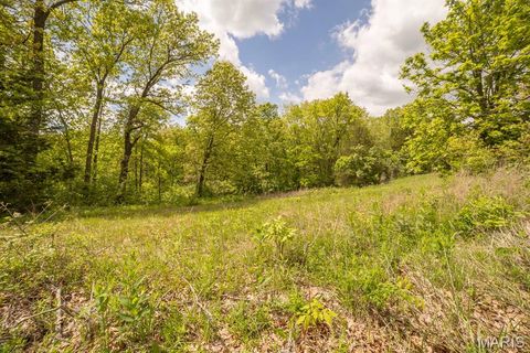 Tiny photo for 00 W Chilcutt Trail, Elsberry, MO 63343 (MLS # 26026664)