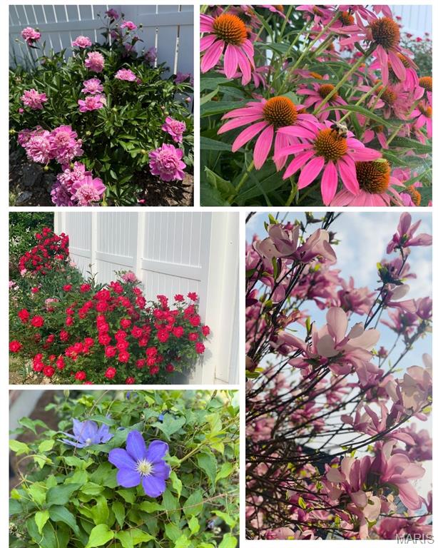 16512 Carriage View Court