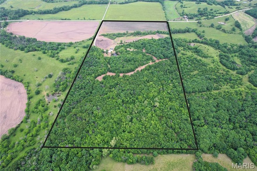 Discover the perfect blend of recreation and income potential on this 78-acre tract in Macon County, MO. Whether you’re a hunter, investor, or looking for a private rural retreat, this property checks all the boxes.

Property Highlights:
• 20+/-; Acres Tillable: Generate consistent income or plant your own crops.
• 2+ Acre Food Plot: Strategically planted and prepped for the upcoming hunting season—an ideal attractant for whitetail and turkey.
• 20x40 Equipment Shed: Built for utility, with electric and water service. Perfect for storing tractors, ATVs, or converting to a weekend cabin.
• Private Gravel Entrance: Leading directly to the shed for privacy and convenience.
• Trail System: Newly established perimeter and internal trails provide easy access across the entire property-ideal for hunting, riding, or checking cameras.
• 2 Elevated Hunting Blinds: Positioned for optimal coverage of food plots and bedding areas.

This versatile tract offers a unique mix of productive land, prime hunting, and essential infrastructure-ideal for weekend getaways, hunting camp, or an investment with recreational upside.