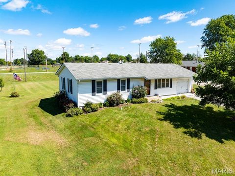 Photo of 117 E Park Drive, Bowling Green, MO 63334 (MLS # 25058837)
