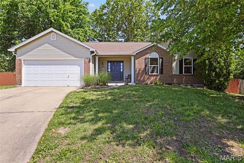 Photo of 846 Molloy Drive, OFallon, MO 63366 (MLS # 26029784)