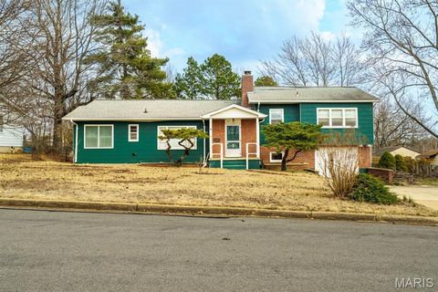 Photo of 211 S Adrian Avenue, Rolla, MO 65401 (MLS # 26012862)
