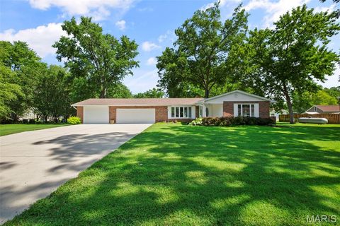 1420 Church Street Portage Des Sioux MO 63373