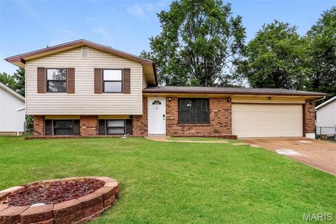 1700 Birch Street Pacific MO 63069