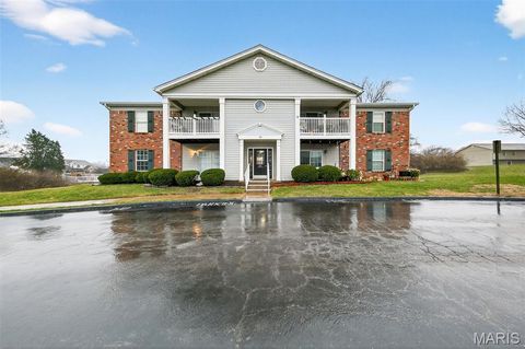 19 Berview Circle H St Louis MO 63129