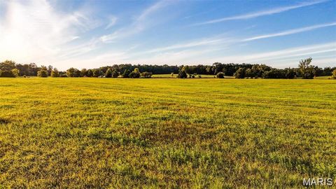 Tiny photo for 3821 Holt Rd (6.6 Acres), Wentzville, MO 63385 (MLS # 26004888)