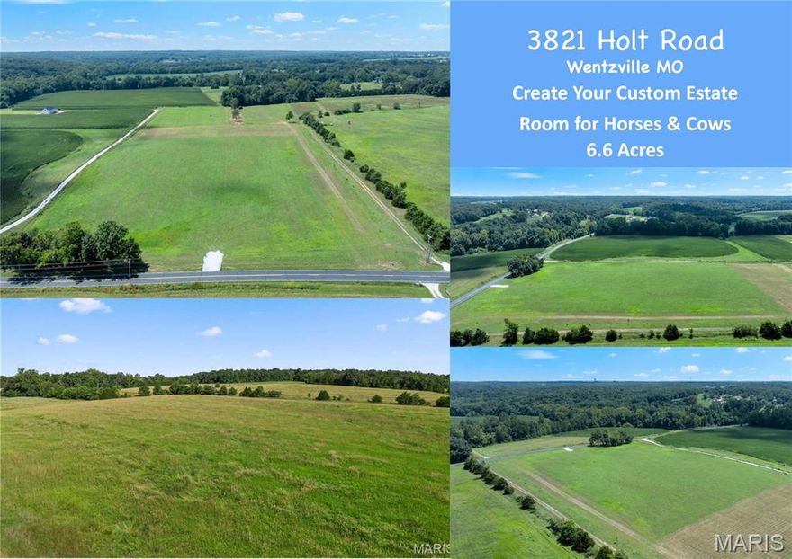 PRICE REDUCTION OF $10,000 - This is a 6.6 acre paradise in one of Missouri’s most sought-after areas. Create your forever home, enjoy horses or cattle, build beautiful gardens together to cultivate a sustainable lifestyle, and build a lasting family legacy. Call today to schedule a private showing and start envisioning your future on this remarkable property!  Gently Sloping terrain allows a Walk-out or Lookout elevation.  Bring your Own Plans and Your Own Builder.  Over 400 feet of road frontage with private drive.   Perfect location for your new Custom Home, Horse Barn and  RV/Classic Car Barn all on your own private land.    

TOP RATED SCHOOL DISTRICT - Francis Howell High is Voted #2 Best Public Schools in St. Charles County in for Elementary, Middle and High School at www.Niche.com.

Just Minutes to Downtown St Louis, Lake St. Louis, Busch Wildlife.  Plus Short Drive to Illinois with quick access to major highways of I-70. Hwy 61 and Hwy 364 for effortless connectivity.  Enjoy Lakes of New Melle Park, Busch Family Farm, close to shopping, schools, and hospitals and minutes to Busch Wildlife Sanctuary.

Private Driveway Access right off Holt Road.  

Electric at the road and Fiber Internet Available.

Soil Samples: Provided upon accepted offer for confident planning.