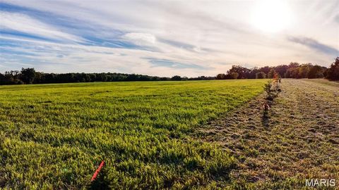 Tiny photo for 3821 Holt Rd (6.6 Acres), Wentzville, MO 63385 (MLS # 26004888)