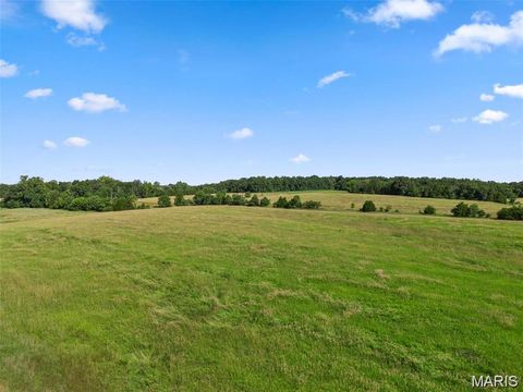 Tiny photo for 3821 Holt Rd (6.6 Acres), Wentzville, MO 63385 (MLS # 26004888)