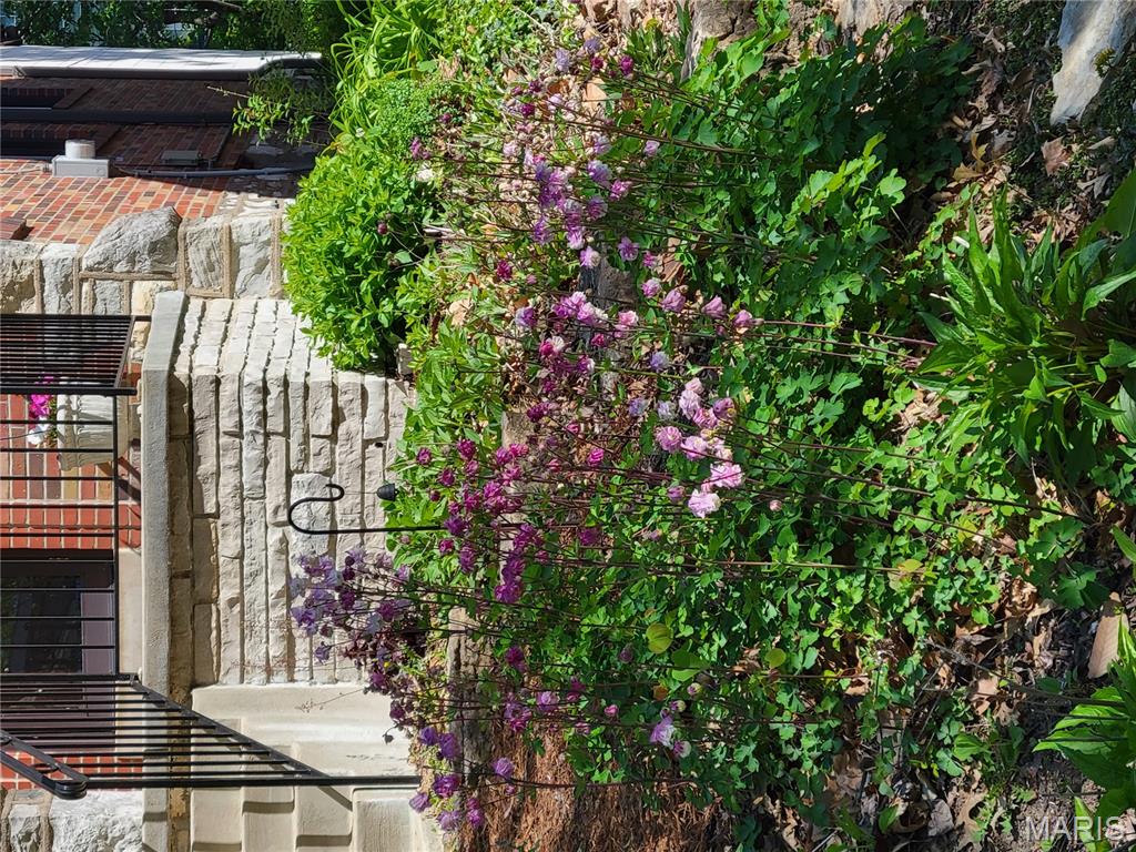 University Terrace - Residential