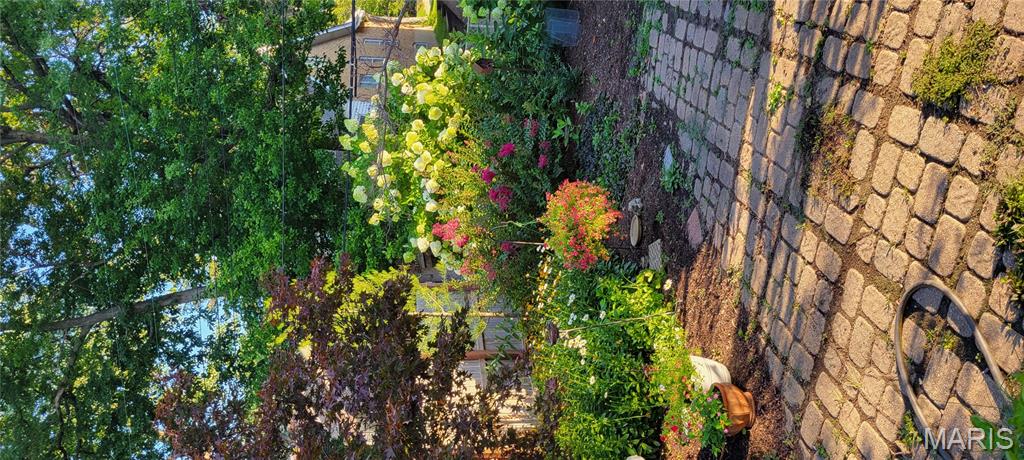 University Terrace - Residential