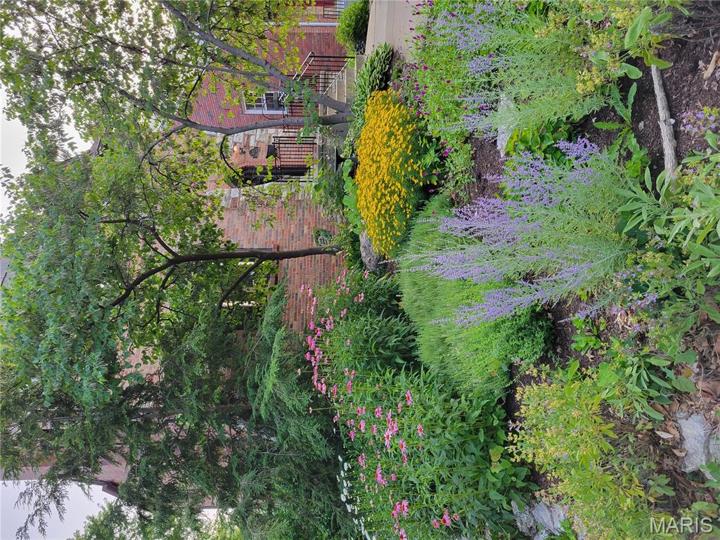 University Terrace - Residential