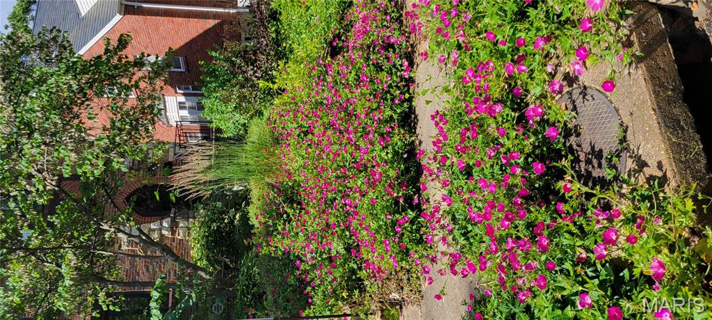 University Terrace - Residential