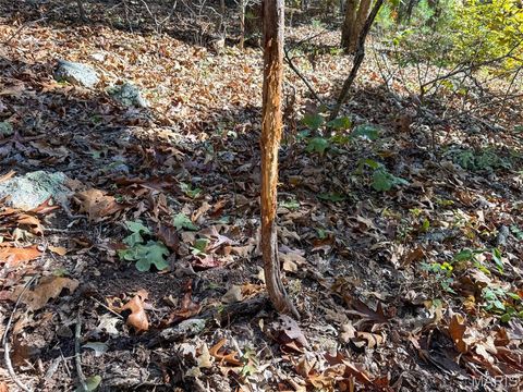 Photo of 0 Delpark Road, Potosi, MO 63664 (MLS # 25073397)