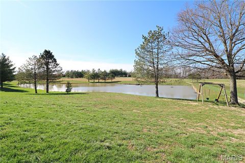 Tiny photo for 20237 BCR 228, Sedgewickville, MO 63781 (MLS # 26019818)