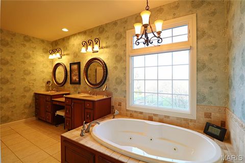 Tiny photo for 20237 BCR 228, Sedgewickville, MO 63781 (MLS # 26019818)