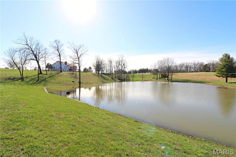 Tiny photo for 20237 BCR 228, Sedgewickville, MO 63781 (MLS # 26019818)