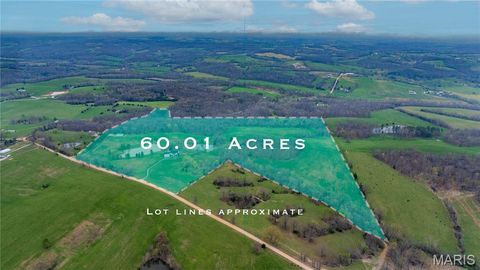 Tiny photo for 20237 BCR 228, Sedgewickville, MO 63781 (MLS # 26019818)