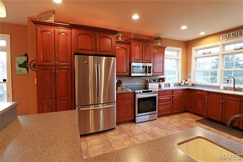 Tiny photo for 20237 BCR 228, Sedgewickville, MO 63781 (MLS # 26019818)