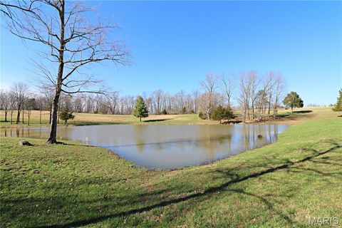 Tiny photo for 20237 BCR 228, Sedgewickville, MO 63781 (MLS # 26019818)