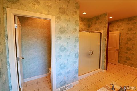 Tiny photo for 20237 BCR 228, Sedgewickville, MO 63781 (MLS # 26019818)