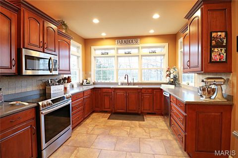 Tiny photo for 20237 BCR 228, Sedgewickville, MO 63781 (MLS # 26019818)