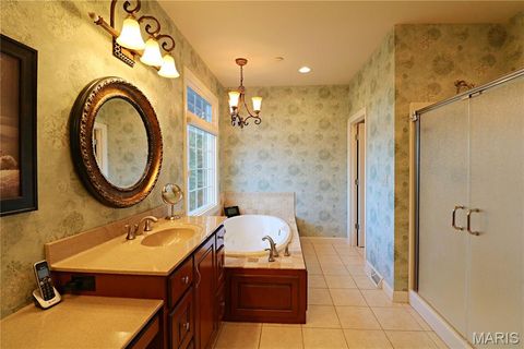 Tiny photo for 20237 BCR 228, Sedgewickville, MO 63781 (MLS # 26019818)