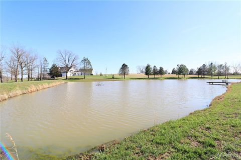 Tiny photo for 20237 BCR 228, Sedgewickville, MO 63781 (MLS # 26019818)