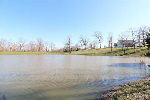 Tiny photo for 20237 BCR 228, Sedgewickville, MO 63781 (MLS # 26019818)