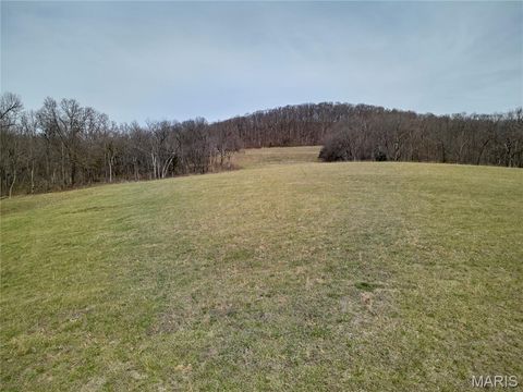 Tiny photo for 28 ac +/- Pike 224, Eolia, MO 63344 (MLS # 26016568)