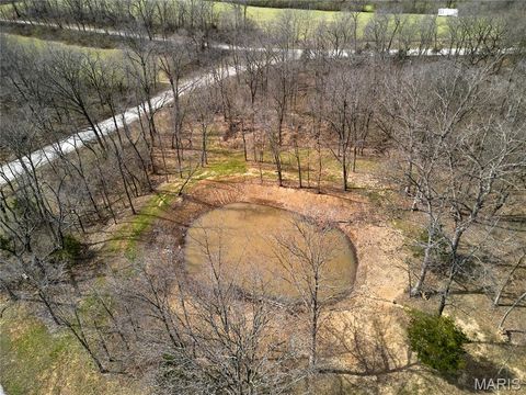 Tiny photo for 28 ac +/- Pike 224, Eolia, MO 63344 (MLS # 26016568)