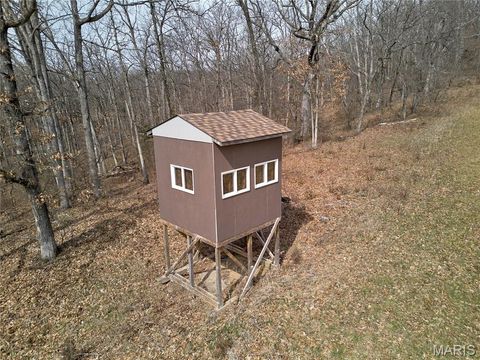 Tiny photo for 28 ac +/- Pike 224, Eolia, MO 63344 (MLS # 26016568)