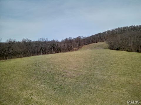Tiny photo for 28 ac +/- Pike 224, Eolia, MO 63344 (MLS # 26016568)
