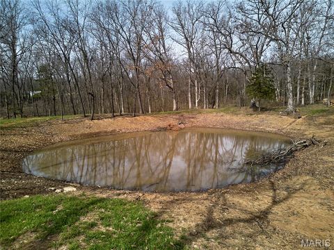 Tiny photo for 28 ac +/- Pike 224, Eolia, MO 63344 (MLS # 26016568)