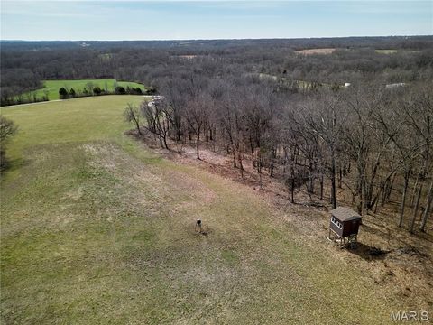 Tiny photo for 28 ac +/- Pike 224, Eolia, MO 63344 (MLS # 26016568)