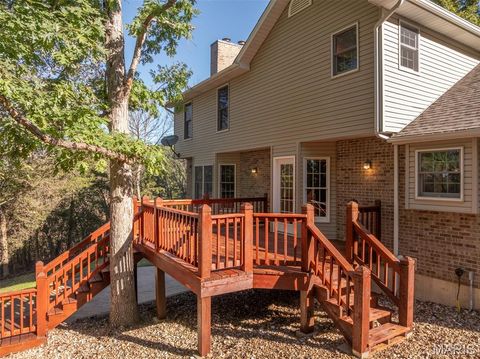 Tiny photo for 100 Silex Elevator Road, Silex, MO 63377 (MLS # 25067626)