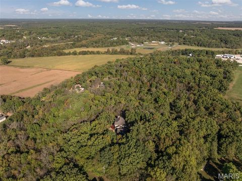 Tiny photo for 100 Silex Elevator Road, Silex, MO 63377 (MLS # 25067626)