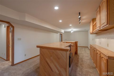 Tiny photo for 100 Silex Elevator Road, Silex, MO 63377 (MLS # 25067626)