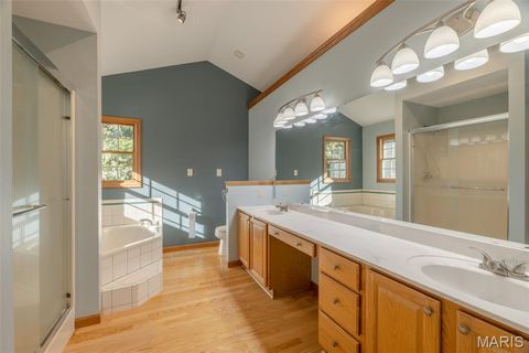 Tiny photo for 100 Silex Elevator Road, Silex, MO 63377 (MLS # 25067626)