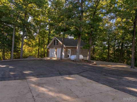 Tiny photo for 100 Silex Elevator Road, Silex, MO 63377 (MLS # 25067626)