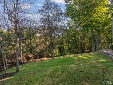 Tiny photo for 100 Silex Elevator Road, Silex, MO 63377 (MLS # 25067626)