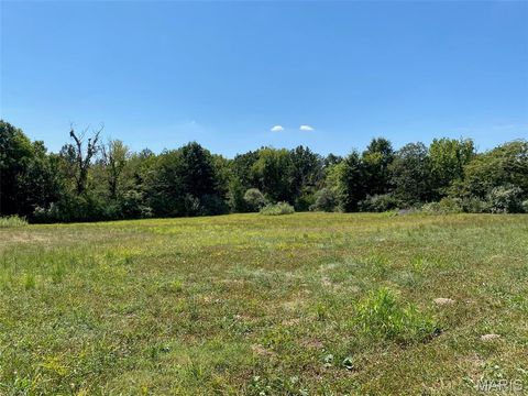 Photo of 32 Cedar Cove, Winfield, MO 63389 (MLS # 25060503)
