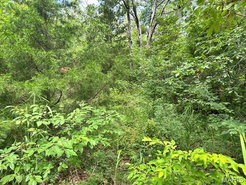Tiny photo for 3527 Vandalia Dr, Iron Mountain, MO 63624 (MLS # 26037795)