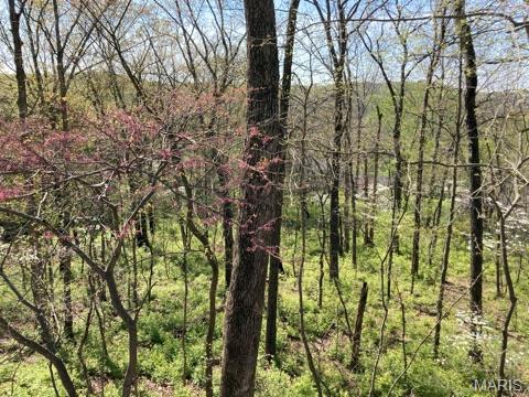 Tiny photo for 18852 Highwood Estates Drive, Wildwood, MO 63069 (MLS # 26062386)