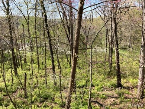 Tiny photo for 18852 Highwood Estates Drive, Wildwood, MO 63069 (MLS # 26062386)